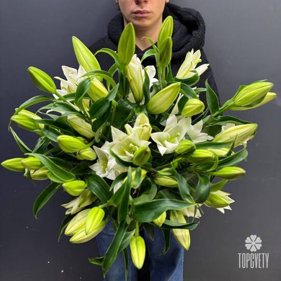 Букет из 9 белых Лилий