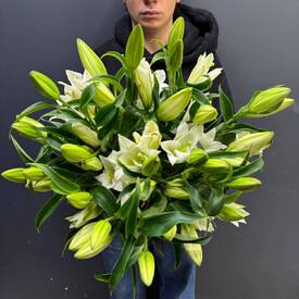 Букет из 9 белых Лилий