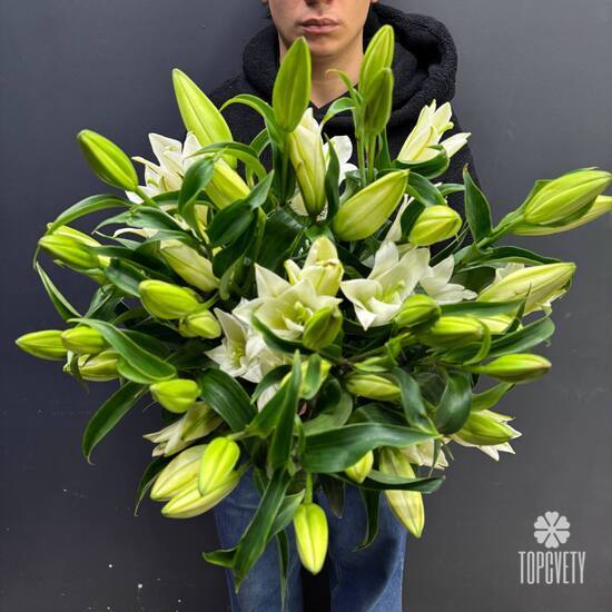 Букет из 9 белых Лилий