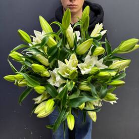 Букет из 9 белых Лилий