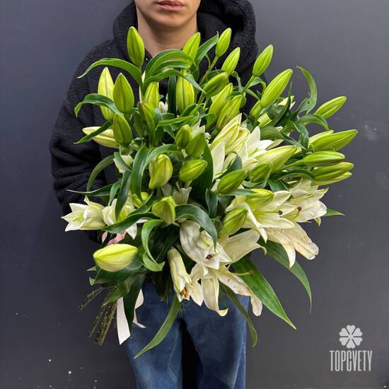 Букет из 11 белых Лилий