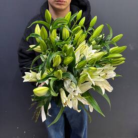 Букет из 11 белых Лилий