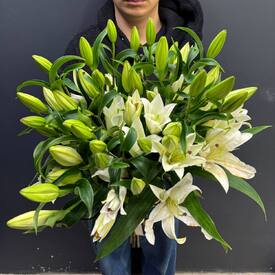 Букет из 11 белых Лилий