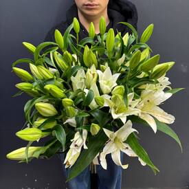 Букет из 11 белых Лилий