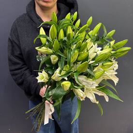 Букет из 11 белых Лилий