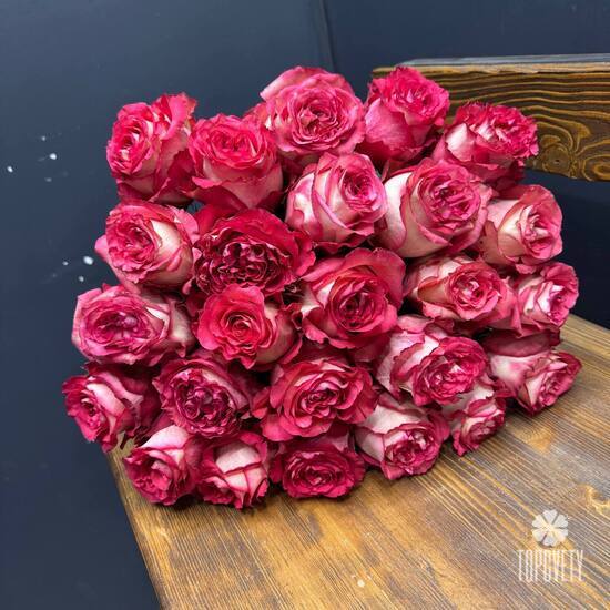 Букет из 25 красных роз Эквадор 50см