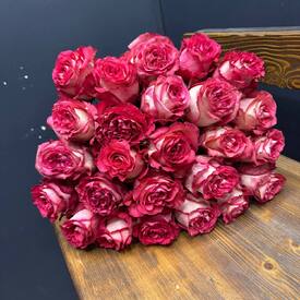 Букет из 25 красных роз Эквадор 50см