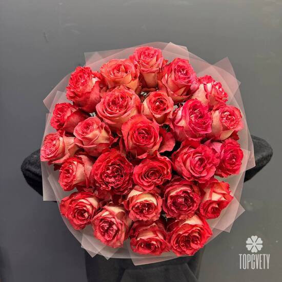 Букет из 25 красных роз Эквадор 50см
