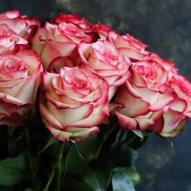 Букет из 19 розовых роз 