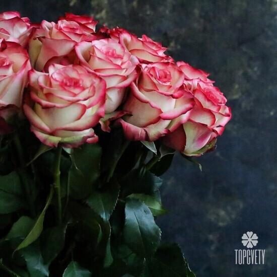 Букет из 19 розовых роз 