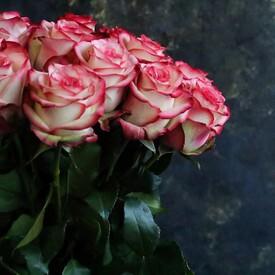 Букет из 19 розовых роз 