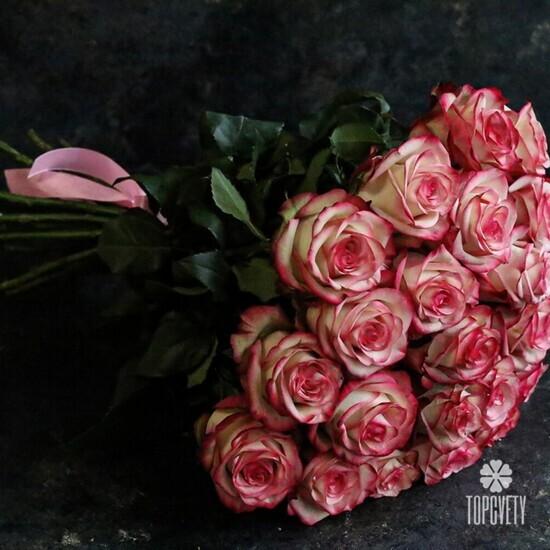 Букет из 19 розовых роз 