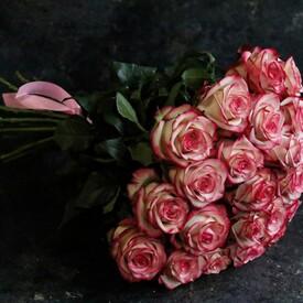 Букет из 19 розовых роз 