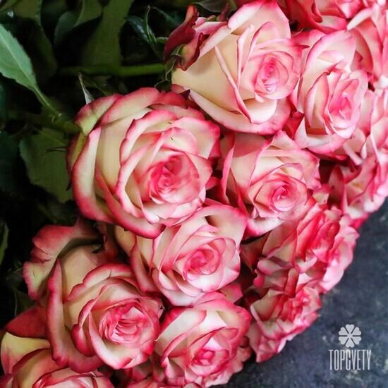 Букет из 19 розовых роз 