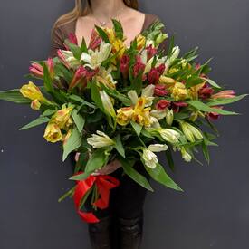 Букет из 15 альстромерии