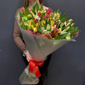 Букет из 25 альстремерий