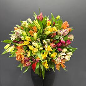 Букет из 25 альстремерии