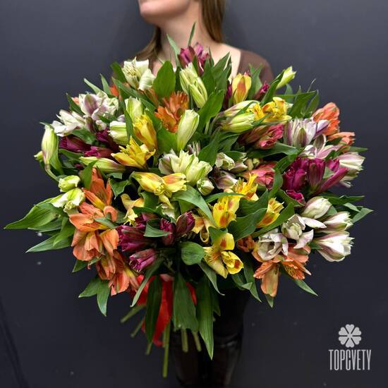 Букет из 25 альстромерии