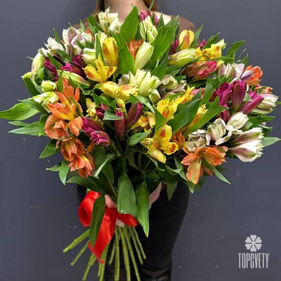 Букет из 25 альстромерии