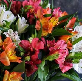 Букет из 21 альстромерии микс