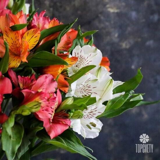 Букет из 21 альстромерии микс