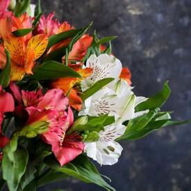 Букет из 21 альстромерии микс