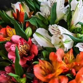 Букет из 21 альстромерии микс