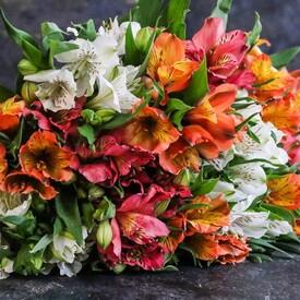 Букет из 21 альстромерии микс