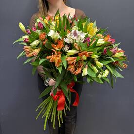Букет из 35 альстромерий