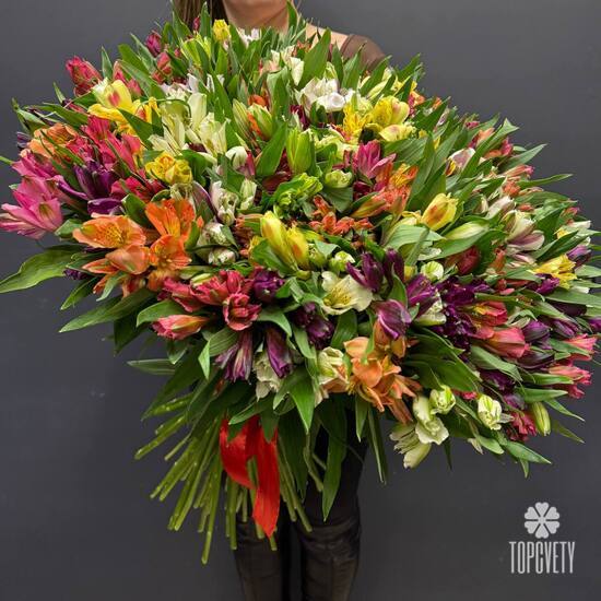 Букет из 101 альстромерии
