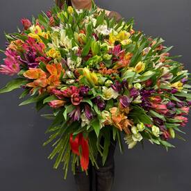 Букет из 101 альстромерии