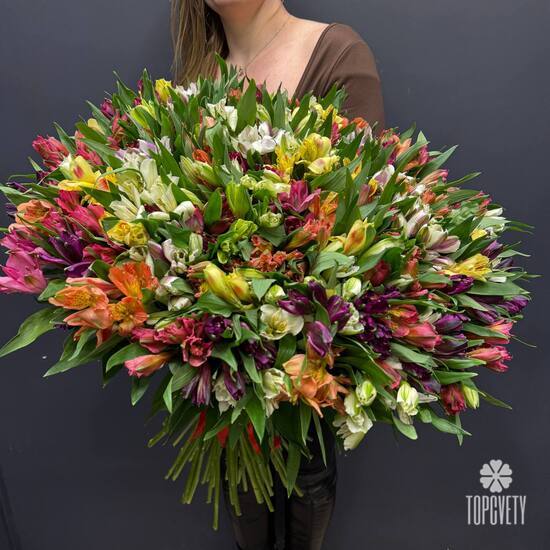 Букет из 101 альстромерии