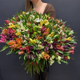 Букет из 101 альстромерии