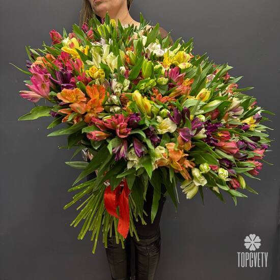 Букет из 101 альстромерии