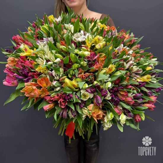 Букет из 101 альстромерии