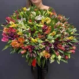 Букет из 101 альстромерии