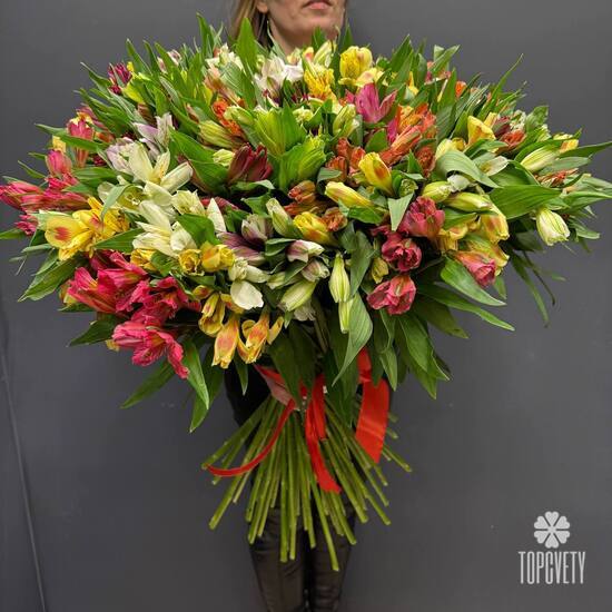 Букет из 75 альстромерии