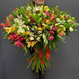 Букет из 75 альстромерии