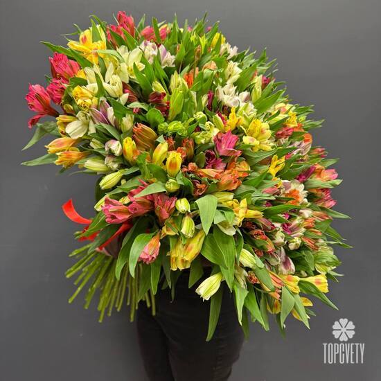 Букет из 75 альстромерии