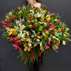 Букет из 75 альстромерии
