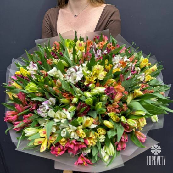 Букет из 75 альстромерии