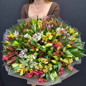 Букет из 75 альстромерии