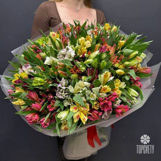 Букет из 75 альстромерии