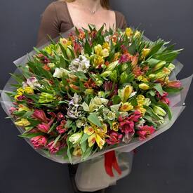 Букет из 75 альстромерии