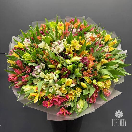 Букет из 75 альстромерии
