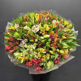 Букет из 75 альстромерии