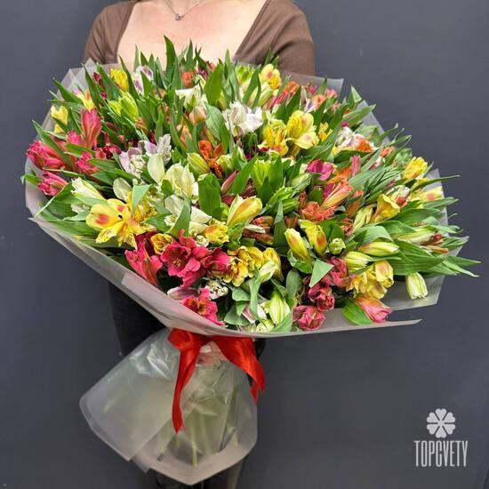 Букет из 51 альстромерии