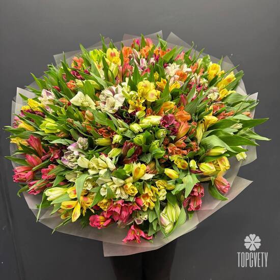 Букет из 51 альстромерии