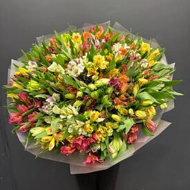 Букет из 51 альстромерии