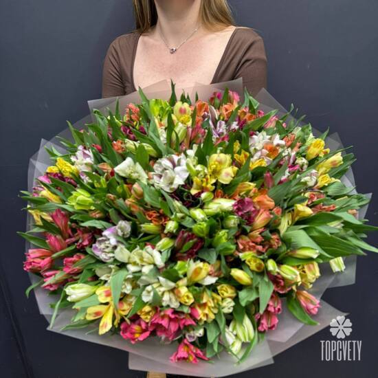 Букет из 51 альстромерии